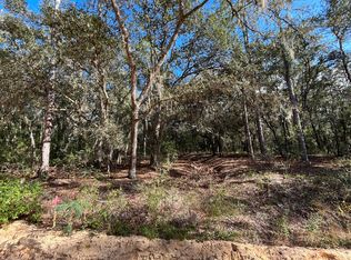 S Cooper Lake Dr, Interlachen, FL 32148