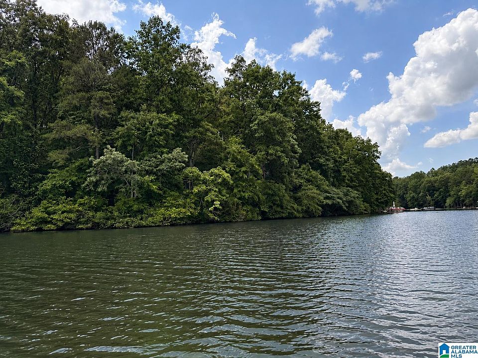2nd image of LOT 10 County Road 2565