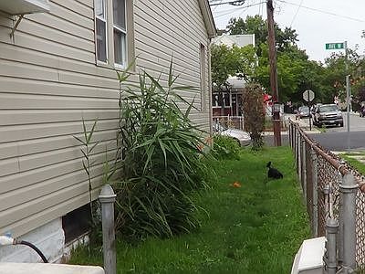 4th image of 3140 Avenue W