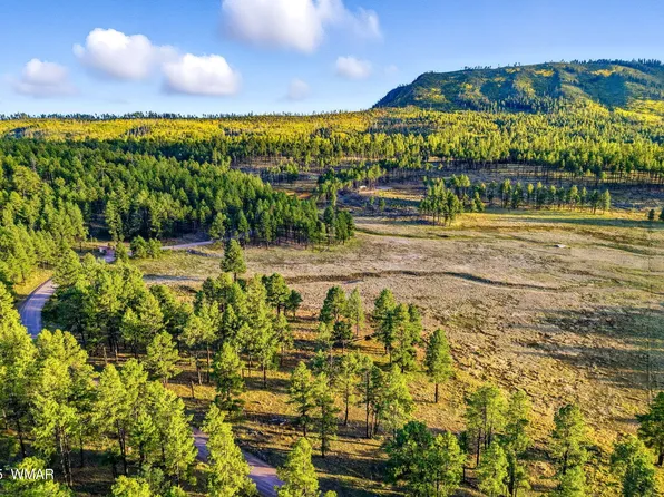 1A Forest Rd #26, Alpine, AZ 85920