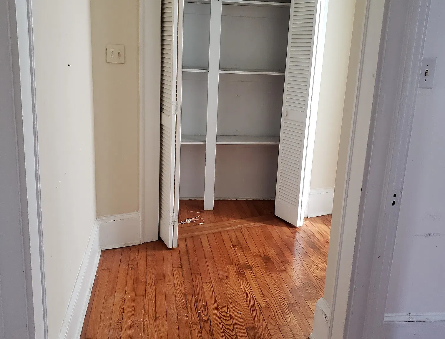 1 bed, $1,500 — Photo 2