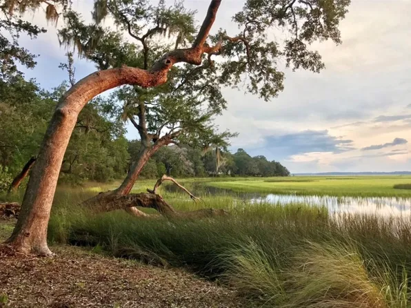 129 Julienton Dr NE, Townsend, GA 31331