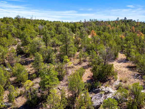 3656 Zane Grey Trl, Overgaard, AZ 85933