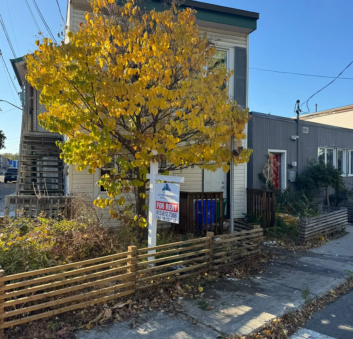 238 Marier Avenue - Unit 4 - Move-in Ready - $500 Off On October Rent — Photo 3