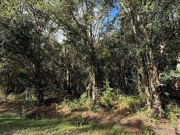 5th image of 1166 HONEYTREE STREET LOT 25