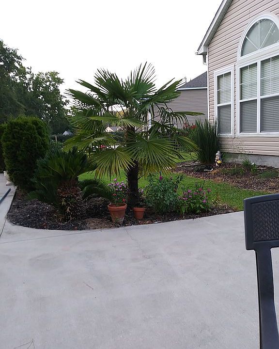 2nd image of 216 Tilly Ct