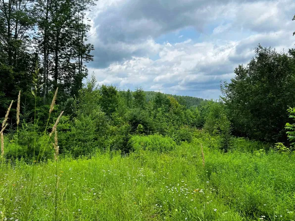 1100 Backway Road, Corinth, VT 05039