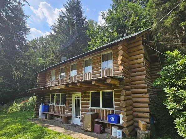 3821 Leetonia Rd, Gaines, PA 16921