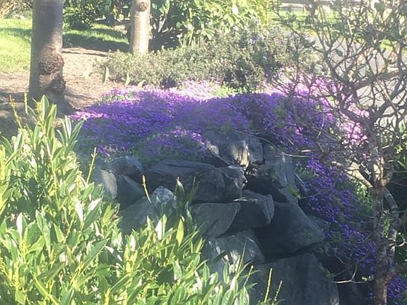 Beautiful landscaping.