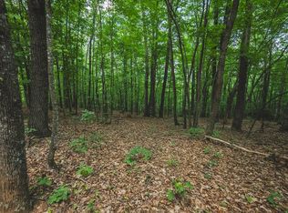 Lee Elgin Rd, Woolwine, VA 24185