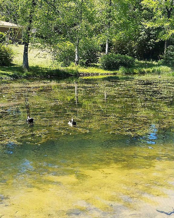 1st image of 6479 Lakeshore Dr