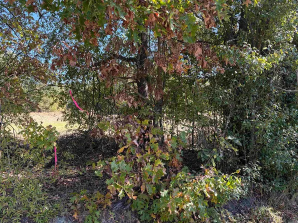 00B Stringham Rd, Higginson, AR 72068