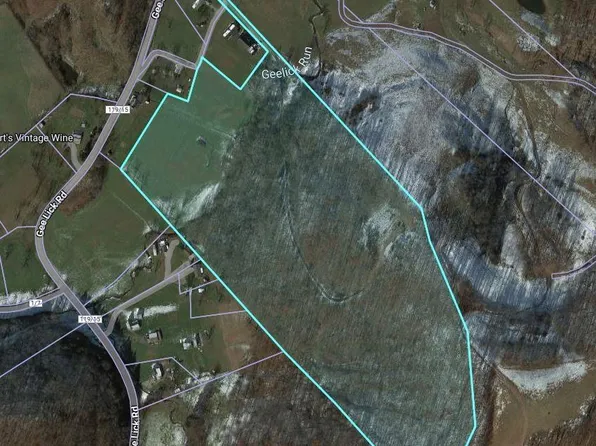 0 Gee Lick Rd, Weston, WV 26452