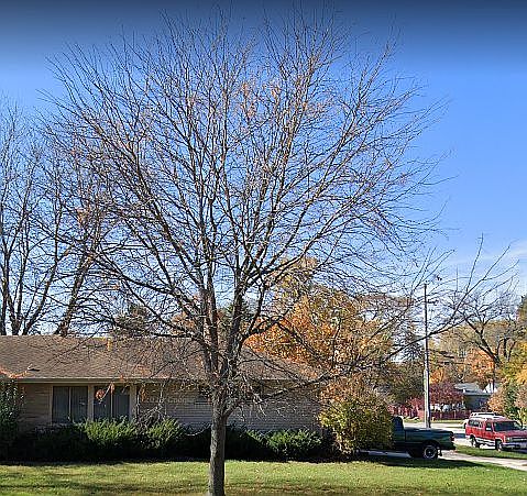 2nd image of 815 Demmond St