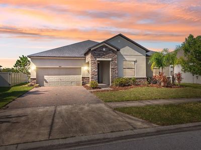 8025 Roma Dune Dr, Wesley Chapel, FL, 33545