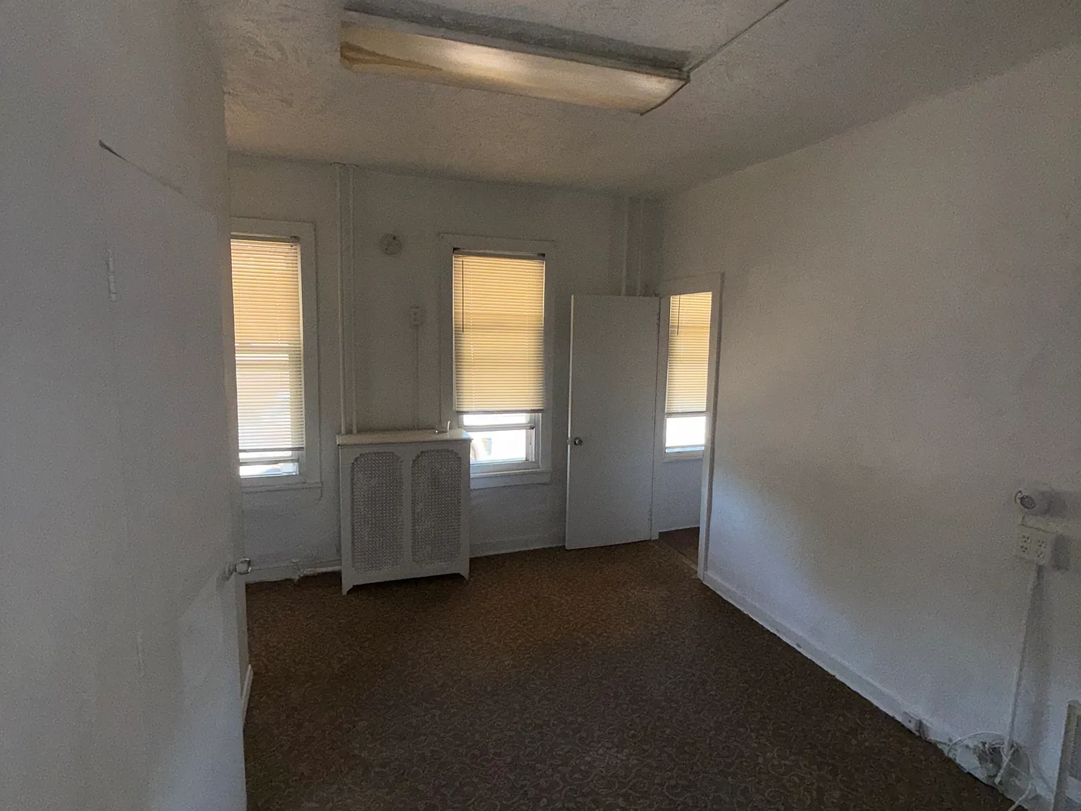 1 bed, $900 — Photo 2