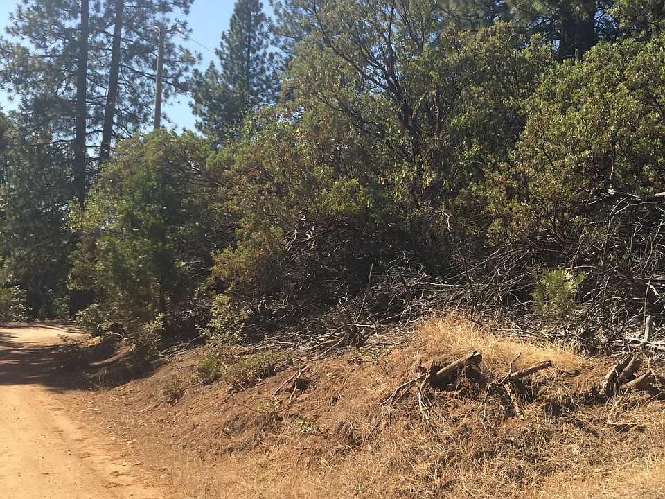 2nd image of 26629 High Trees Dr