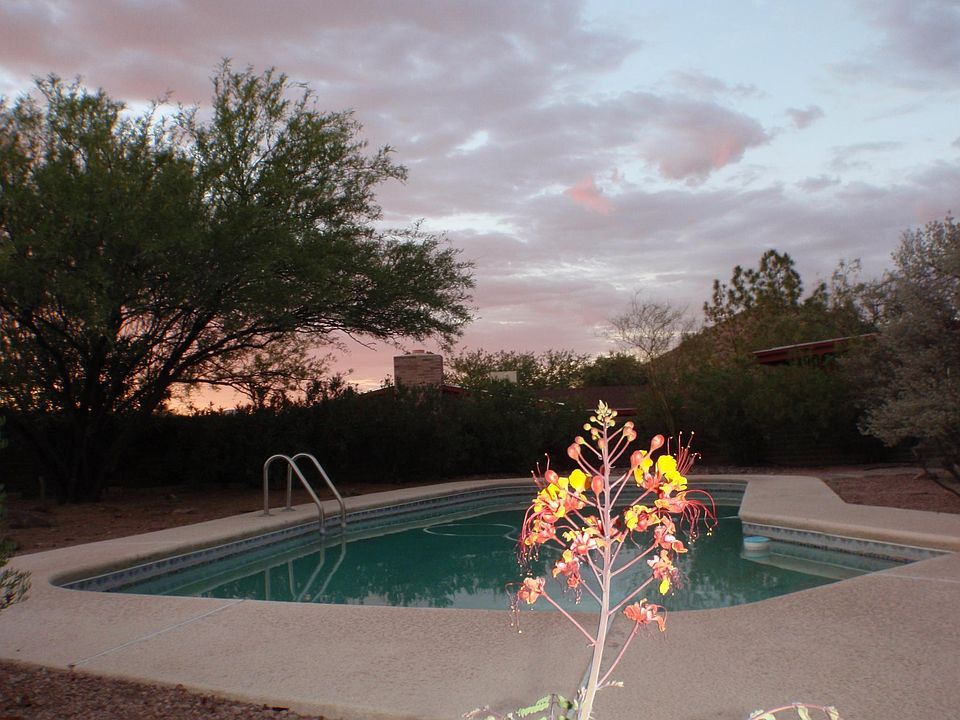 Gorgeous landscaped yard and private pool