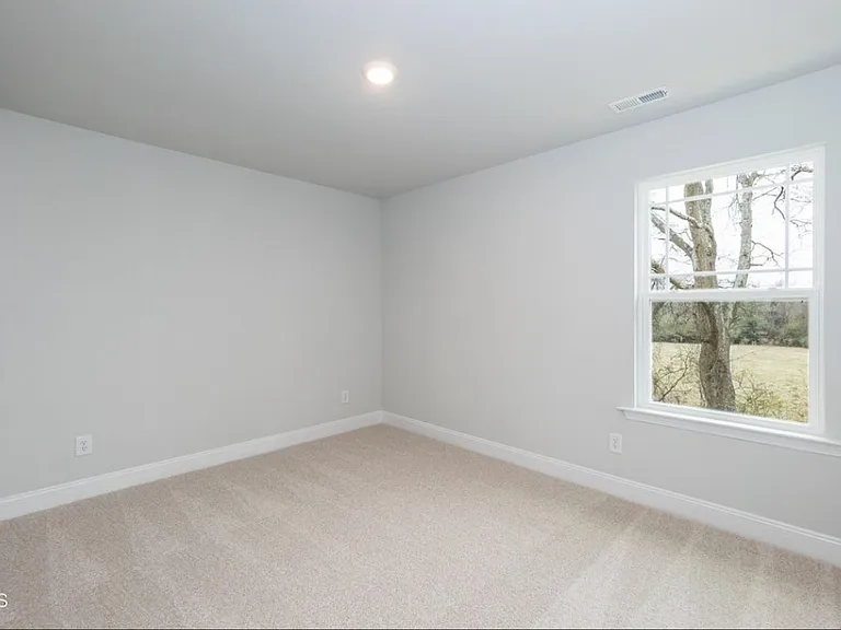 316 Hopewell Branch Ct — Photo 19