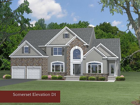 Elevation Elevation D1