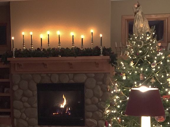 9 ft ceilings-big tree!