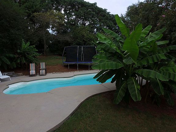 Pool Oasis
