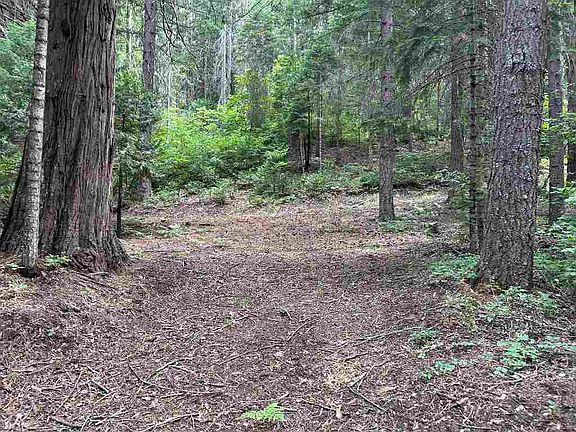4th image of LOT 9 Timber Hills Rd