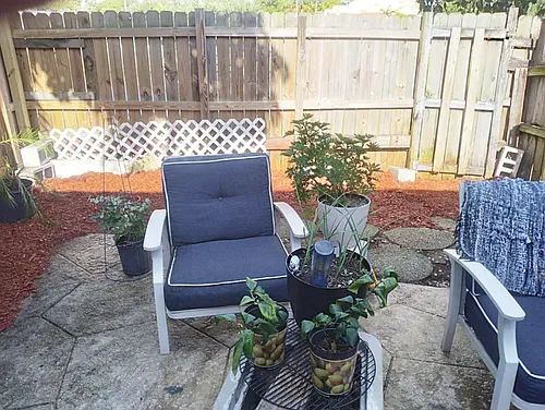 3609 Townhouse Ct Photo 1