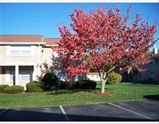 1st image of 40C Washington Park Dr APT 10