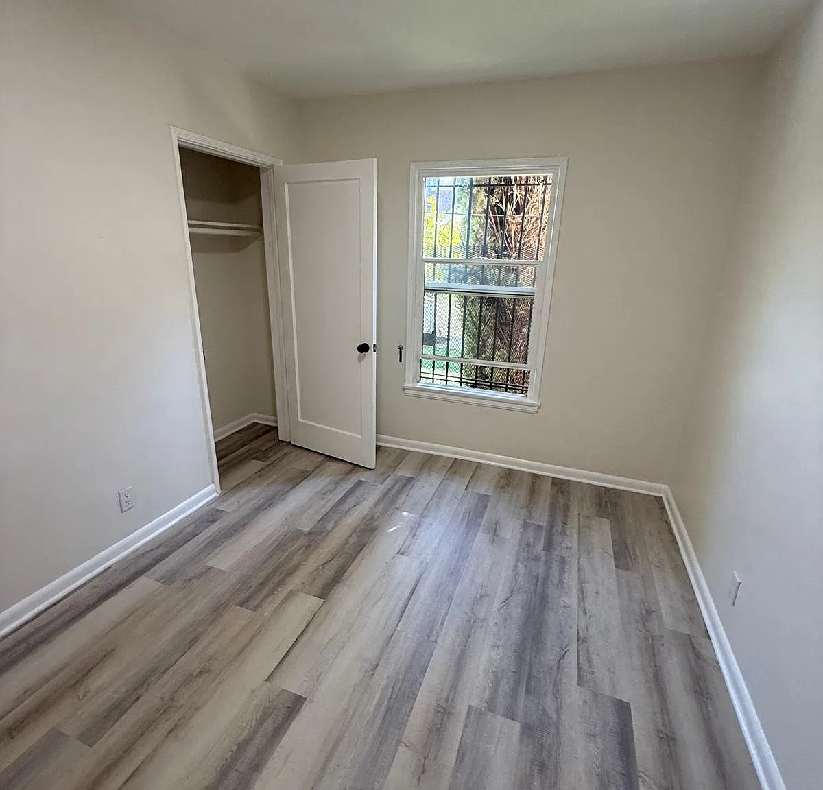 1 bed, $800 — Photo 2