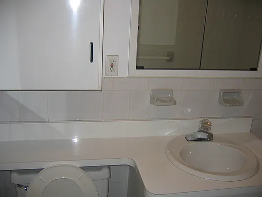 Rented by Eric Goodman Realty Corp | media 2