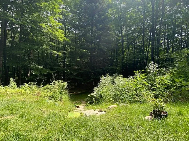 86 Ellis Brook Rd — Photo 13