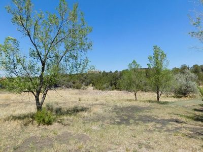 34908 County Road 20.2, Trinidad, CO, 81082