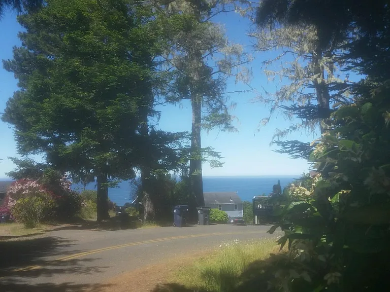 Forest View Rd — Photo 4