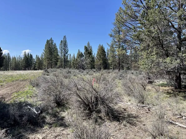 Nfd Rd #44, Chiloquin, OR 97624