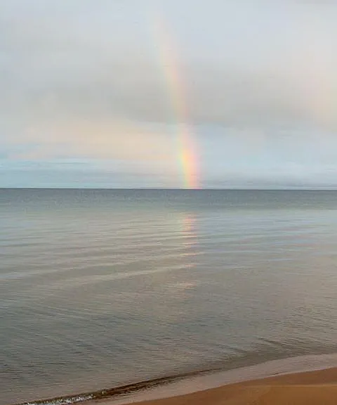 14244 N Whitefish Point Rd — Photo 15