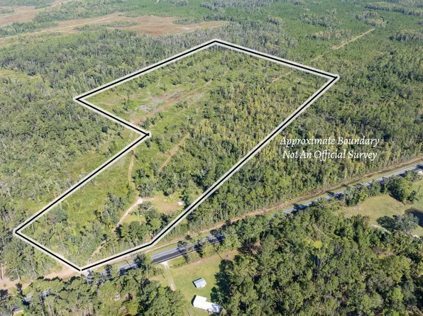 10152 S State Route 51, Mayo, FL 32066