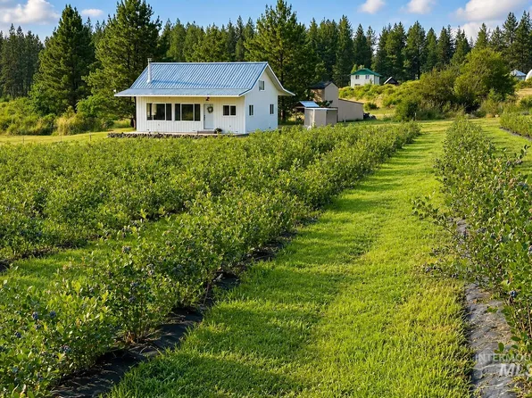 110 Abiding Way, Kooskia, ID 83539