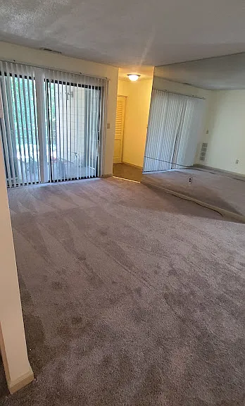 LV sliding door foyer