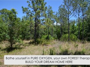 10875 Alico Pass, New Port Richey, FL 34655