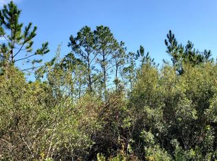 0 SW Spur Rd, Lee, FL 32059