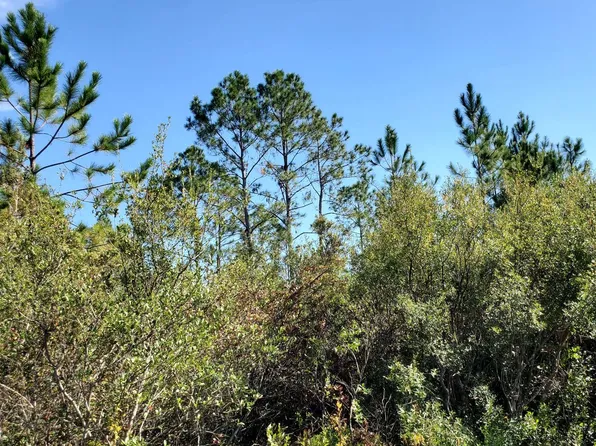 0 SW Spur Rd, Lee, FL 32059