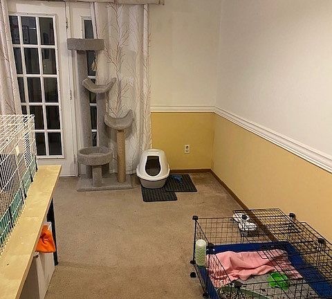 4th image of 4405 Bonita Dr #6-B