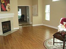 Living Room with Fireplace