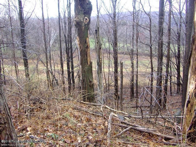 2nd image of 1529 Layton Rd
