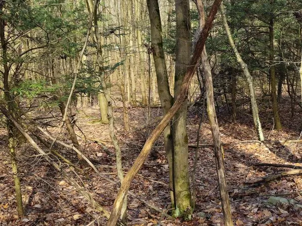 0 Soule Rd Lot 2, New Bloomfield, PA 17068