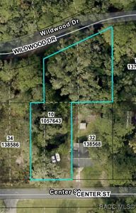 19308 Wildwood Dr, Brooksville, FL, 34601