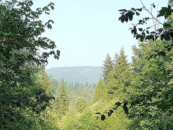 2nd image of 200XX 103rd Ave NE #Lot3
