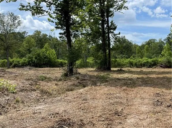 0 Highway 1037, Springfield, LA 70462