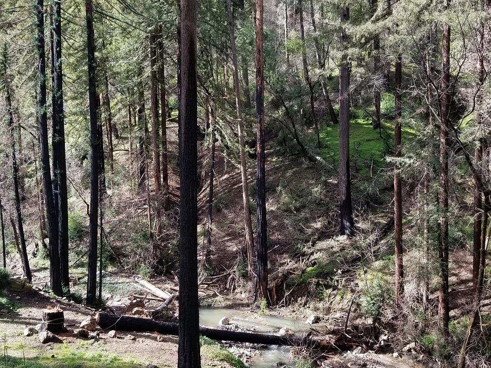 2nd image of 4620 Redwood Rd